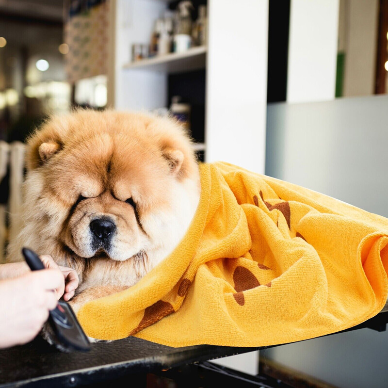 Large Microfibre Dog Towels (Pack of 2), photo 6