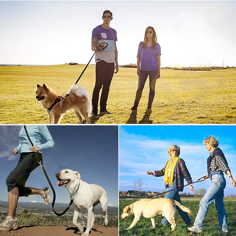 Multi-Way Dog Lead, 2.5 m, photo 5